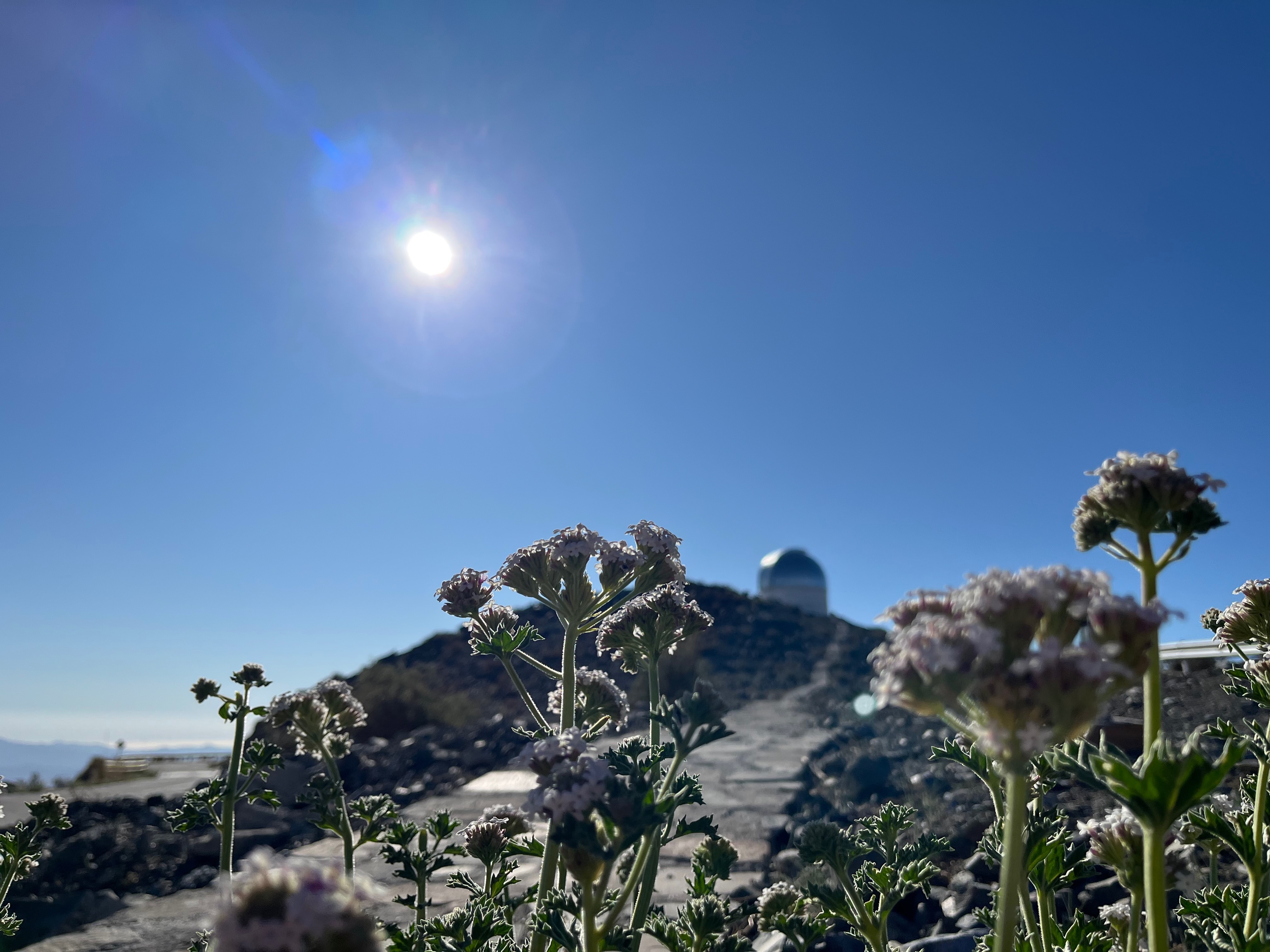 About gallery image 4